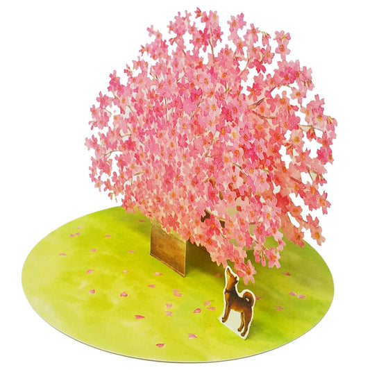 Sakura Cherry Blossom Pop-Up Card – 3D Floral Greeting Card for Any Occasion - Miss Girlie Girl