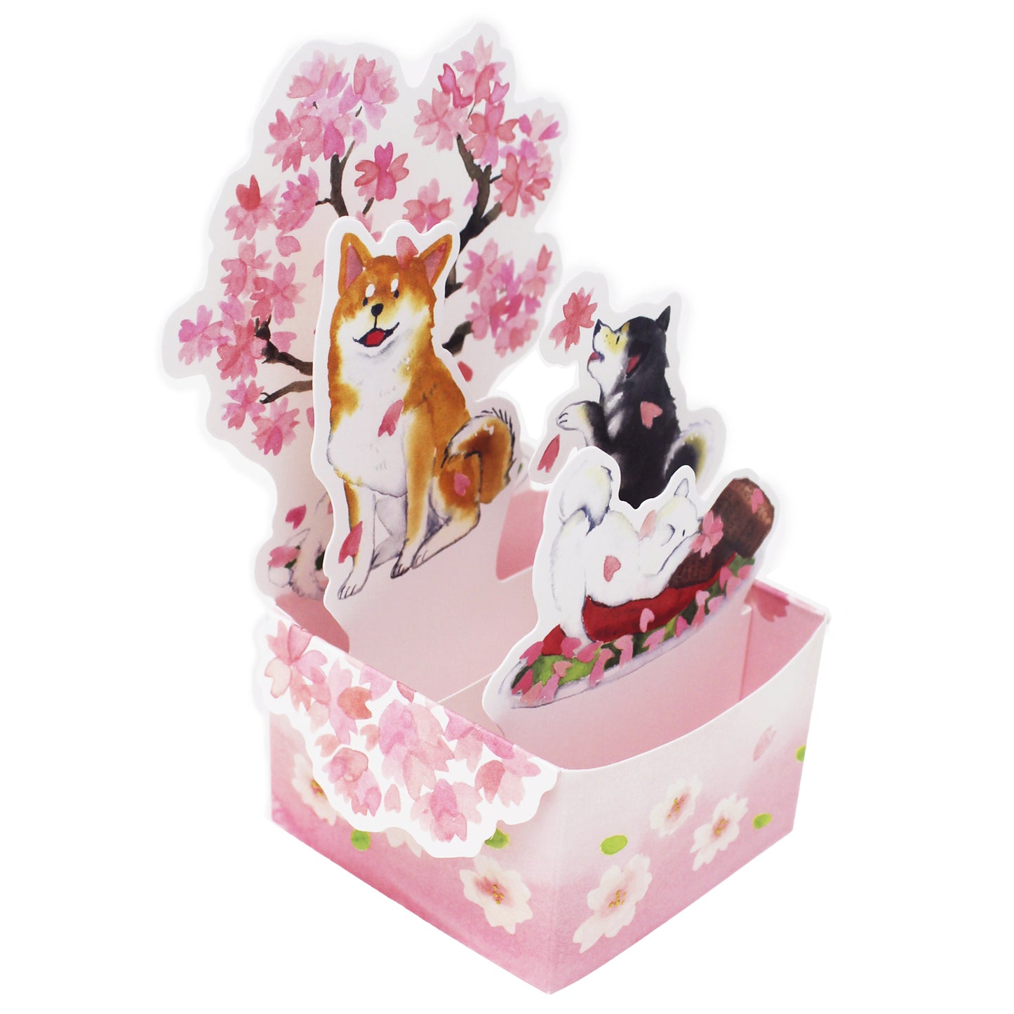 Shiba Inu & Cherry Blossoms 3D Box Pop-Up Card – Mini Sakura Card, Made in Japan - Miss Girlie Girl
