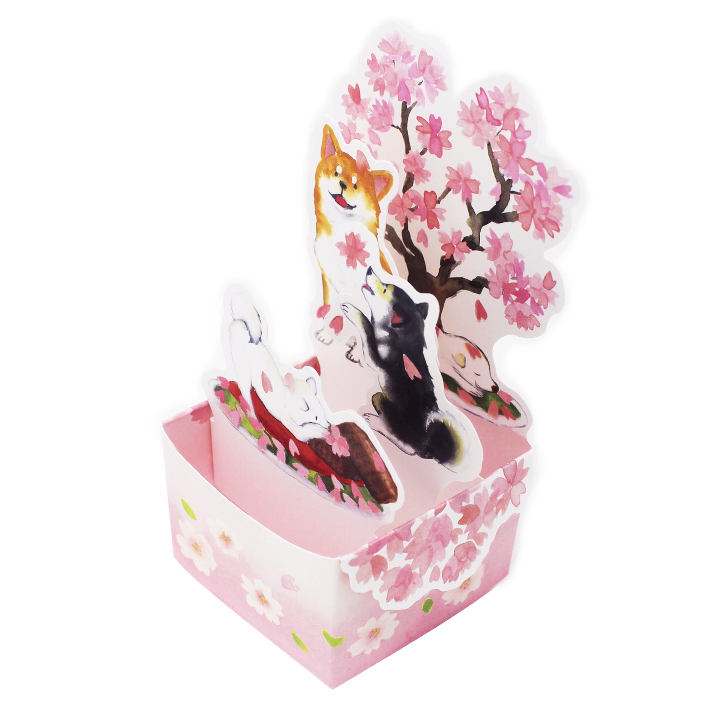 Shiba Inu & Cherry Blossoms 3D Box Pop-Up Card – Mini Sakura Card, Made in Japan - Miss Girlie Girl