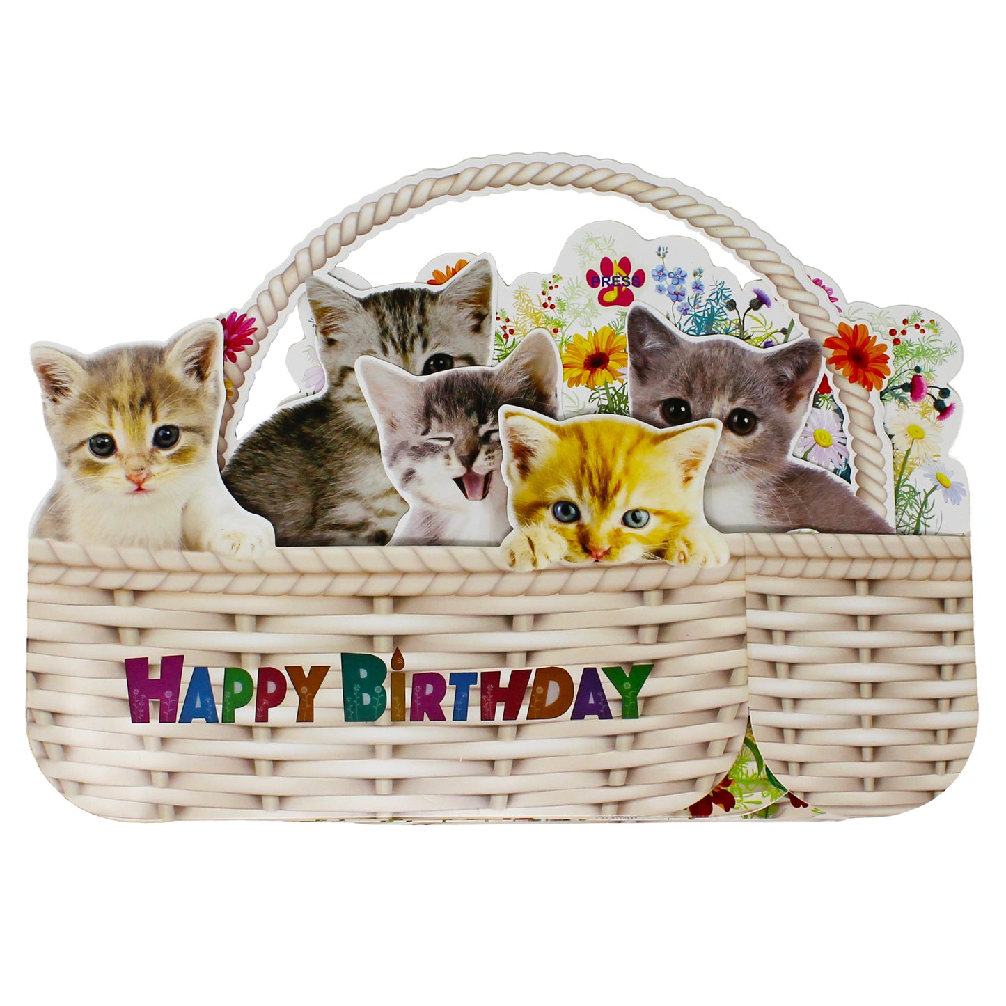 Kittens in Flower Basket Pop-Up Birthday Card with Lights & Dual Melodies (Meow & Violin)