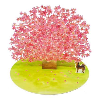 Sakura Cherry Blossom Pop-Up Card – 3D Floral Greeting Card for Any Occasion - Miss Girlie Girl