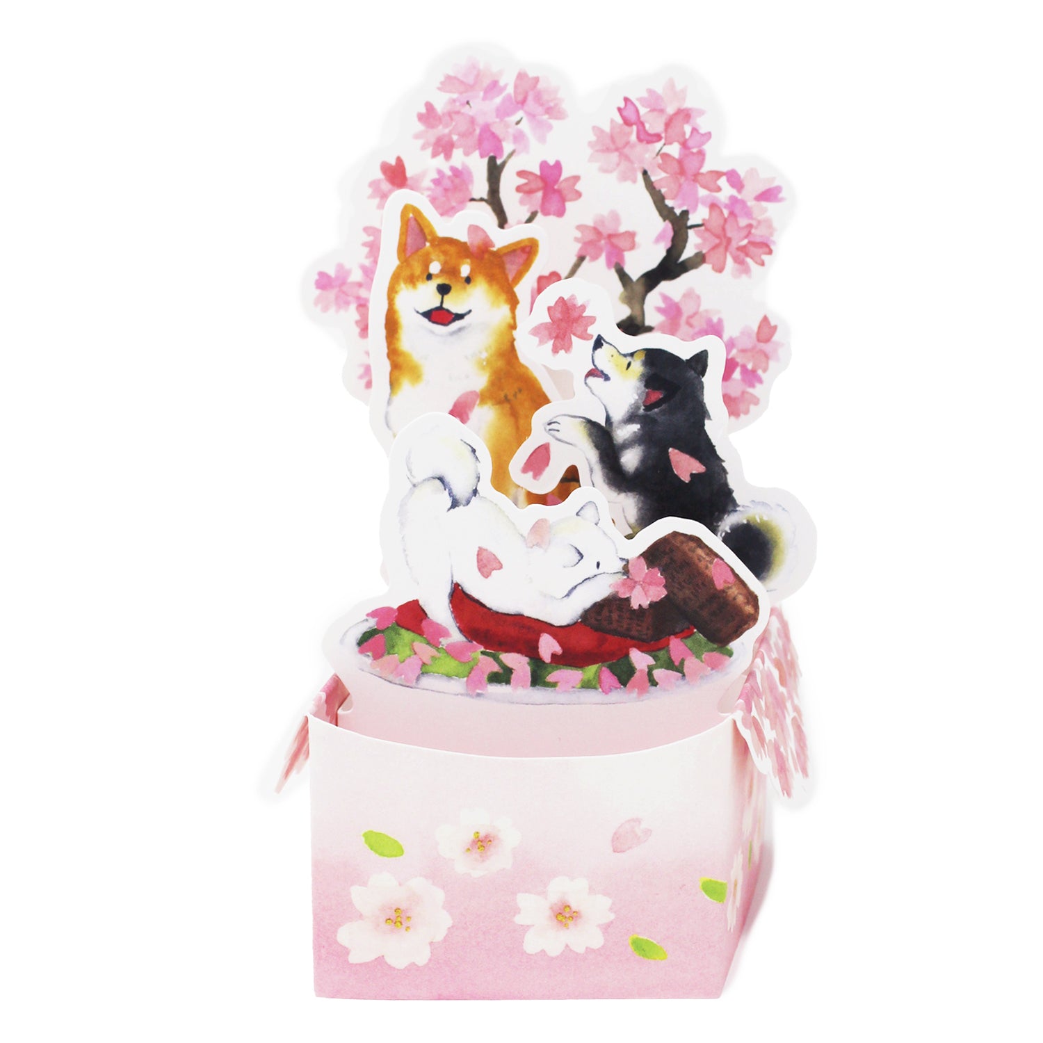 Shiba Inu & Cherry Blossoms 3D Box Pop-Up Card – Mini Sakura Card, Made in Japan - Miss Girlie Girl