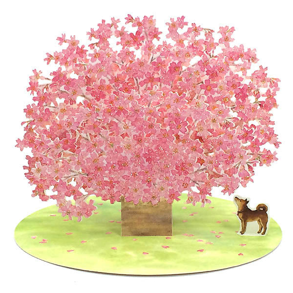Fantastic Cherry Blossom Pop Up Decorative Greeting Card - Miss Girlie Girl